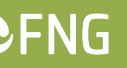 FNG-Marktbericht 2023