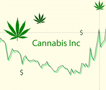 Marihuana-Aktien mit großem Potenzial