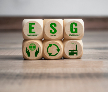 Bauklötze ESG