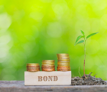 MainSky Active Green Bond Fonds