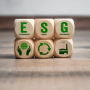 Aufstieg der ESG-Investitionen